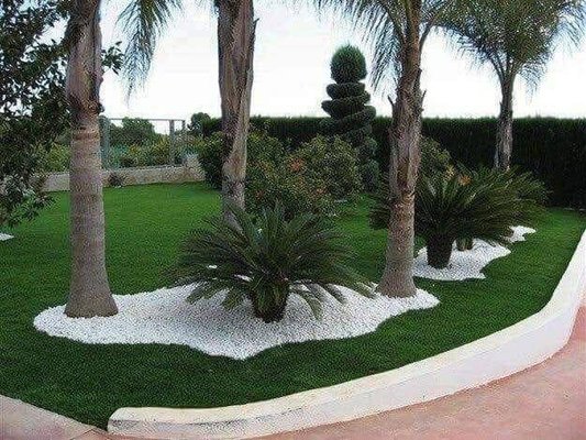Palm and rock landscape detail by Green Horse
