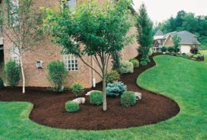 Mulch bed and lawn edge refresh by Green Horse