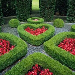 Formal garden and color bed design by Green Horse