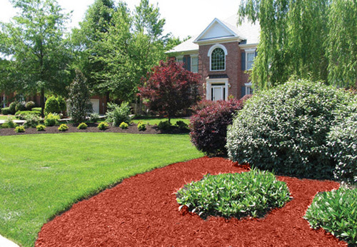 Red mulch and shrub bed refresh by Green Horse