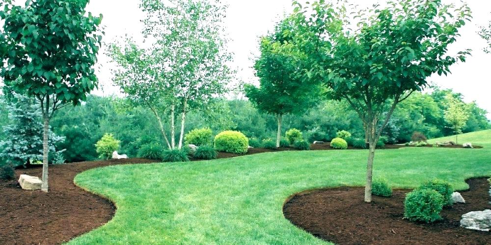 Lawn Maintenance by Green Horse
