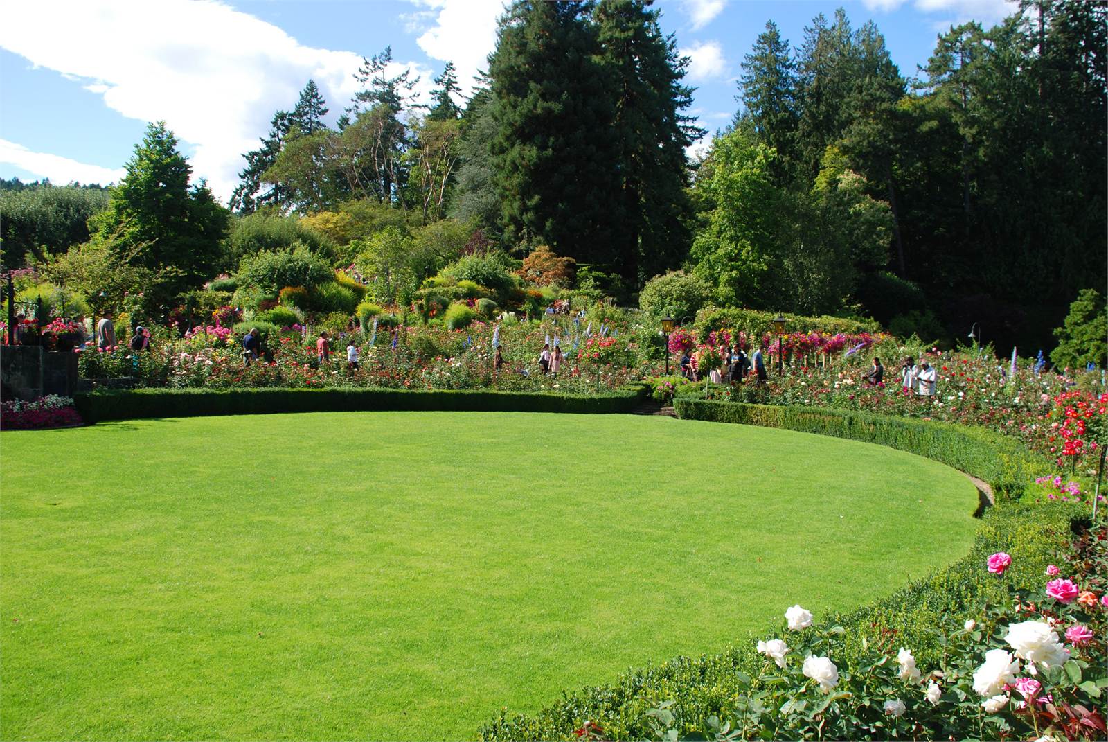 Large garden and turf landscape by Green Horse