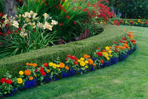 Colorful flower border and trimmed hedge by Green Horse